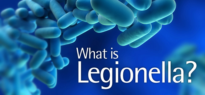 what is legionella