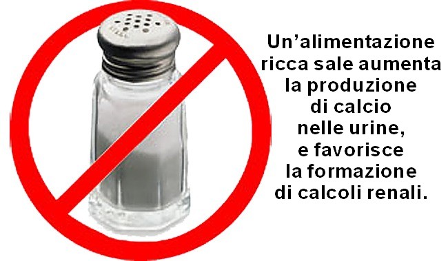 Il sale fa male ai reni